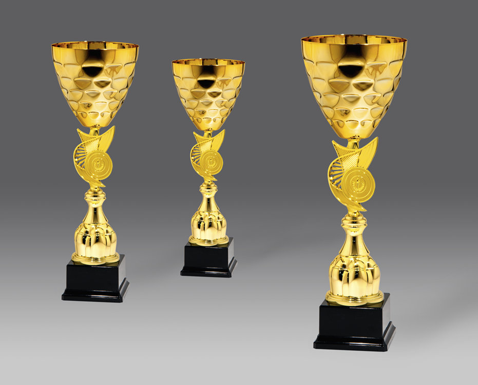 Puchar G26204 3, ø16, h.48 puchary statuetki medale